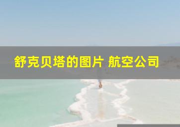 舒克贝塔的图片 航空公司